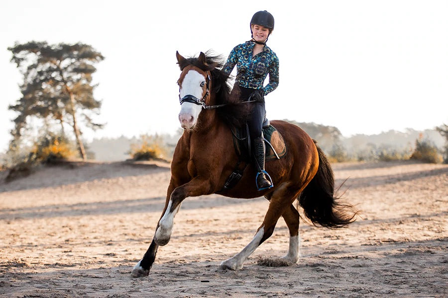 Can strong horses be ridden bitless?