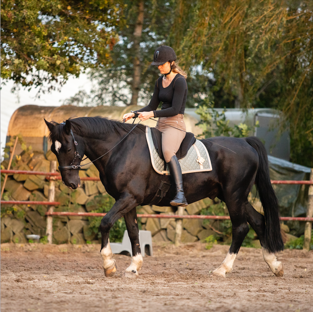 Bitless dressage: How does it work?