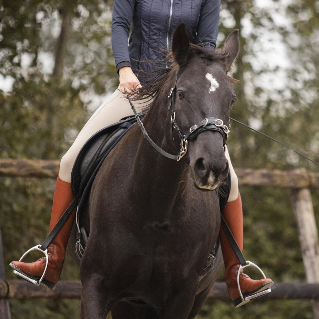 Hackamore vs Cavemore: What’s the Difference?