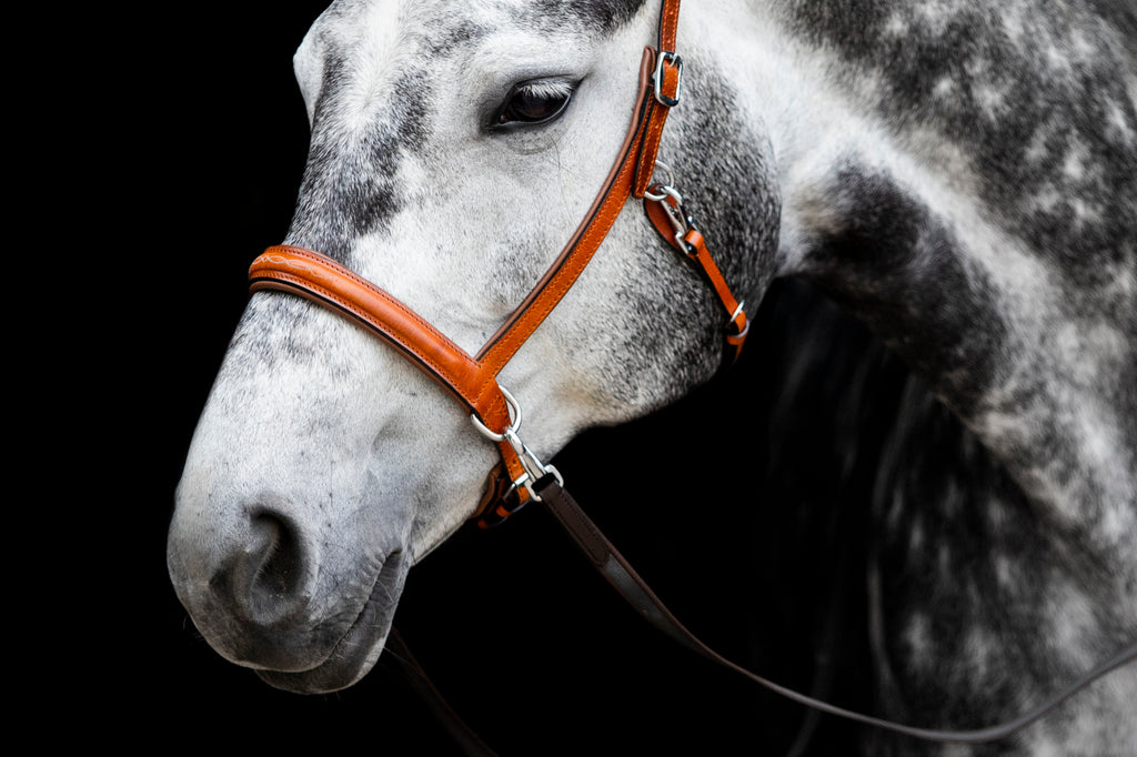 Cognac bitless sidepull bridle with white stitching and ultra-soft padding. Musa sidepull by fr equestrian