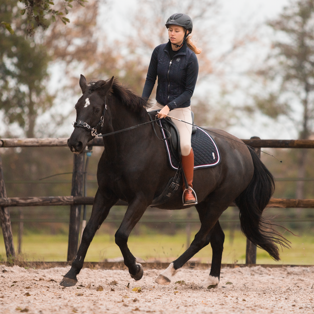 Dark brown horse cantering with a rider on it's back. The horse wears a black kyra cavemore bridle from FR Equestrian