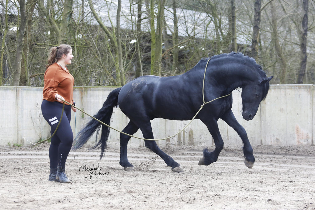 Military green training set premium-Free Riding Neckropes-FR Equestrian