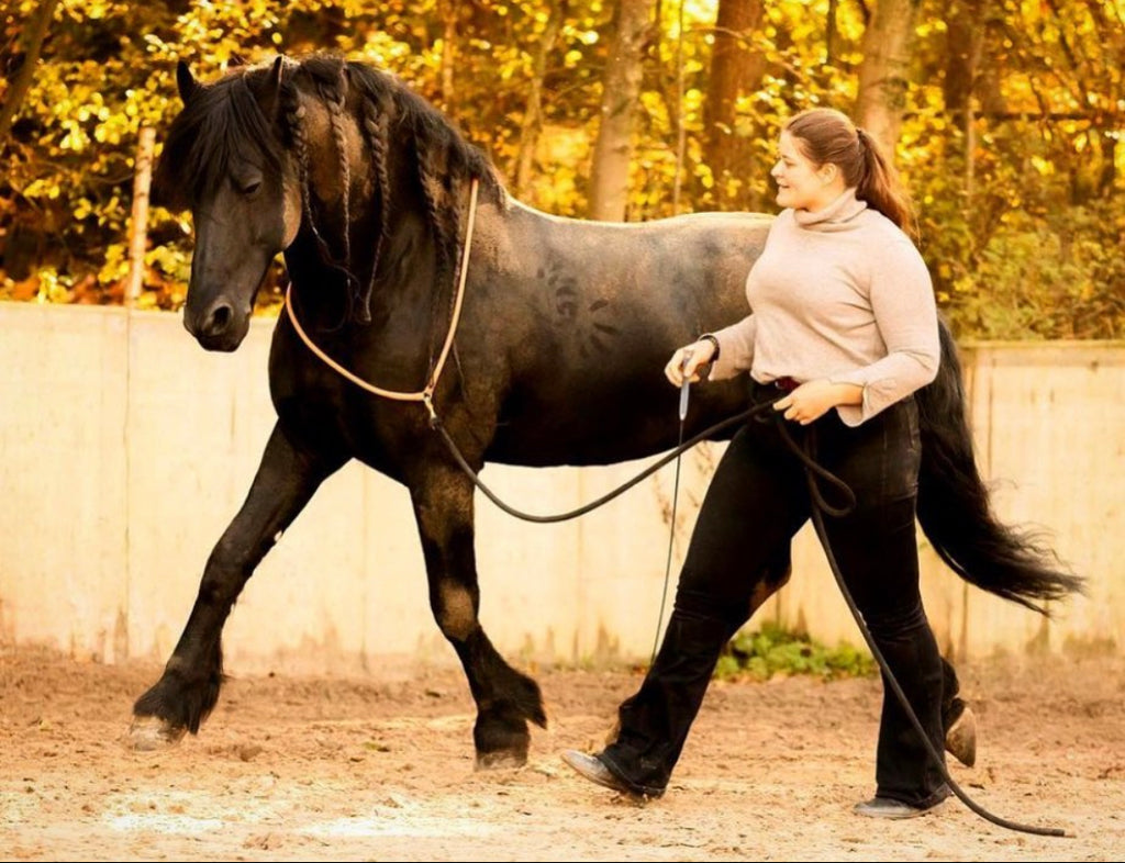 5 Natural Horsemanship Tips to Improve Your Relationship With Your Horse