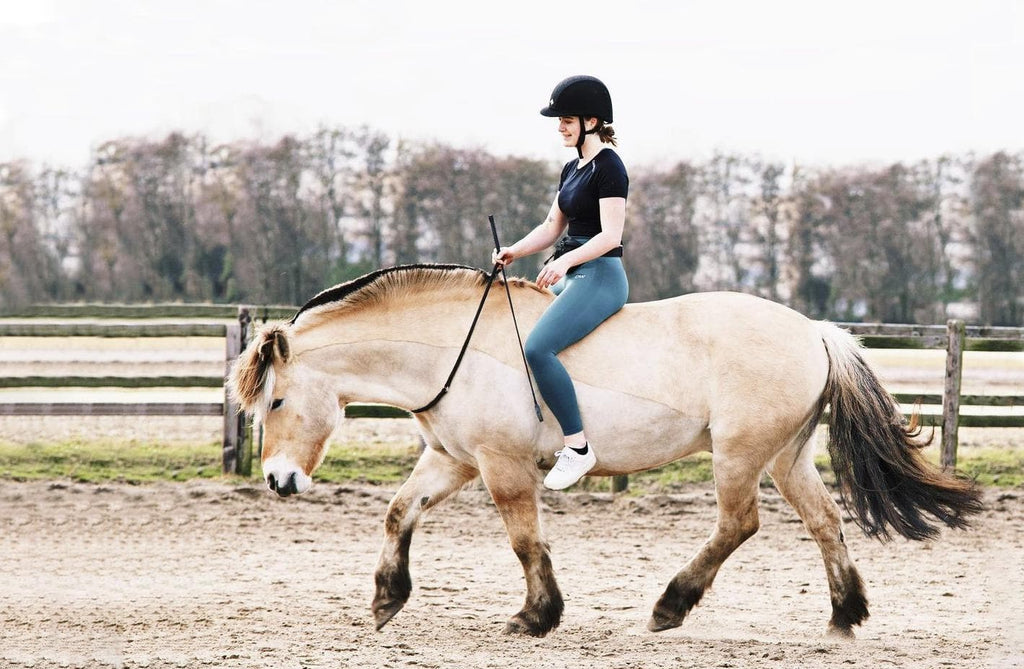 Black ring-Free Riding Neckropes-FR Equestrian