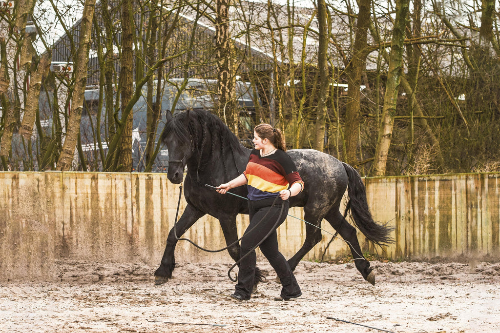 Black starter set-Free Riding Neckropes-FR Equestrian