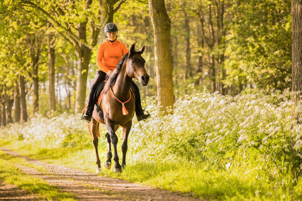 Orange-neckrope-Free Riding Neckrope-FR Equestrian