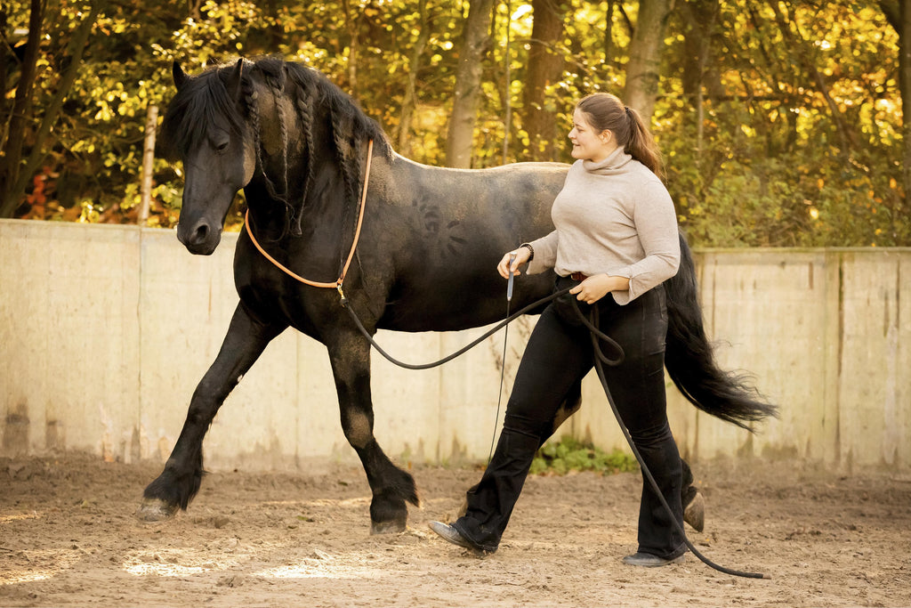 Orange ring-Free Riding Neckropes-FR Equestrian