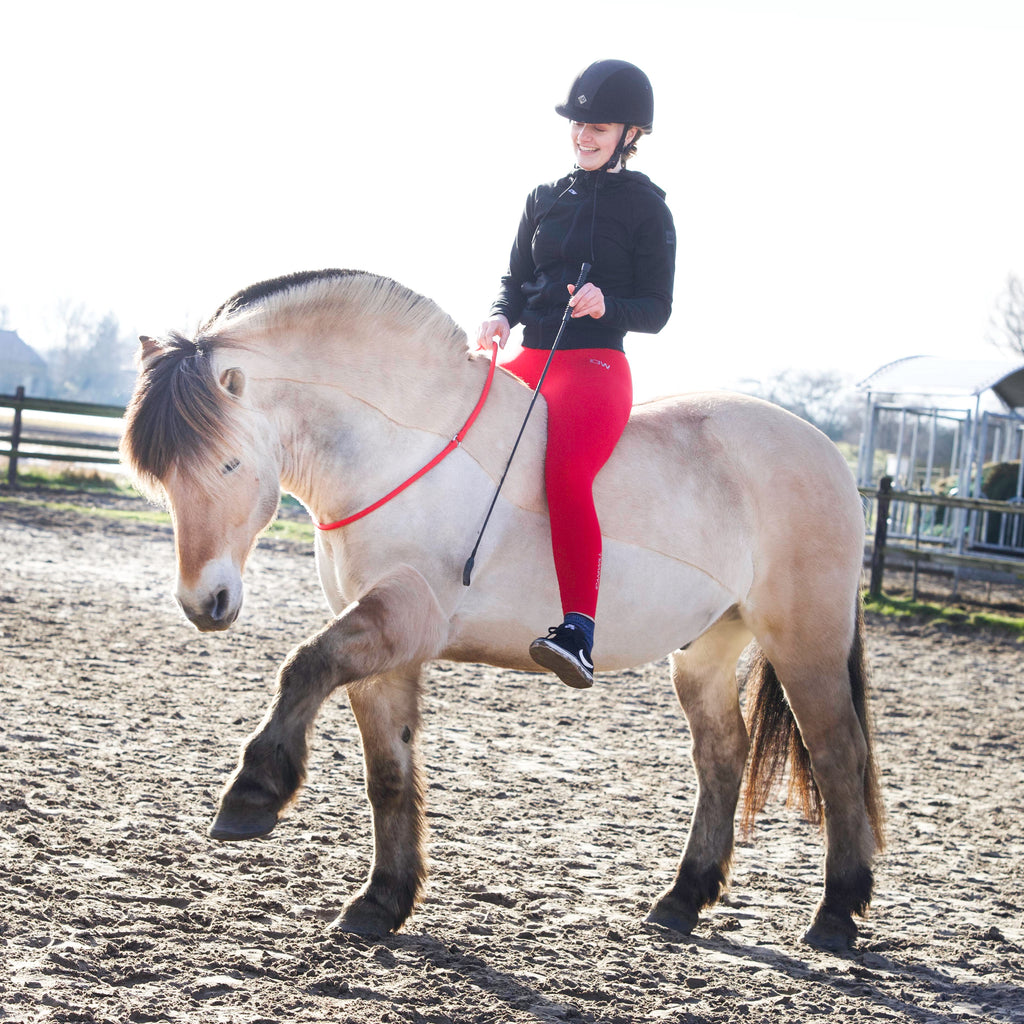 Red ring-Free Riding Neckropes-FR Equestrian