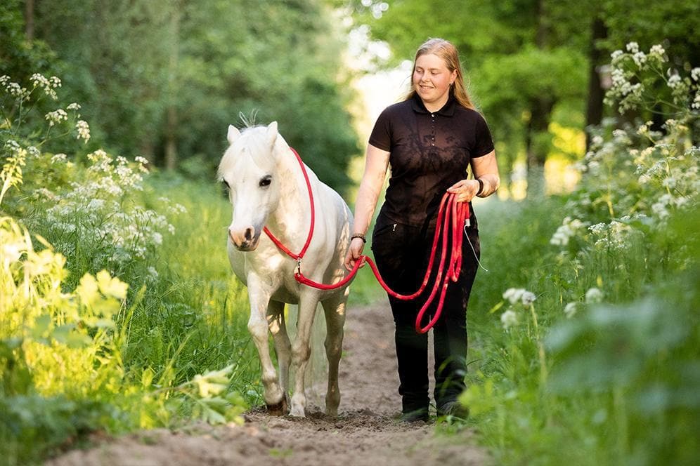 Red training set premium-Free Riding Neckropes-FR Equestrian