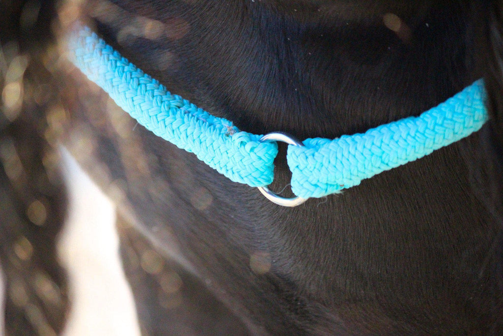 Turquoise ring-Free Riding Neckropes-FR Equestrian